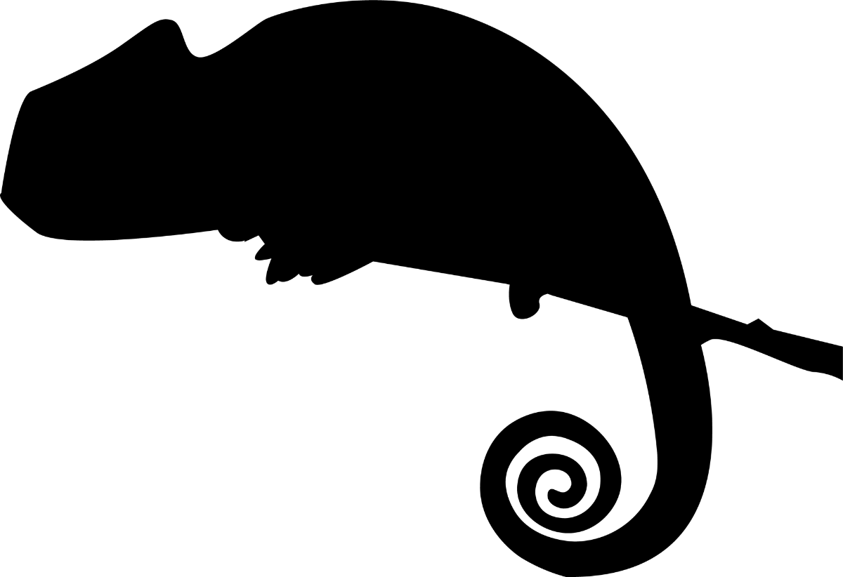 Base Camaleão